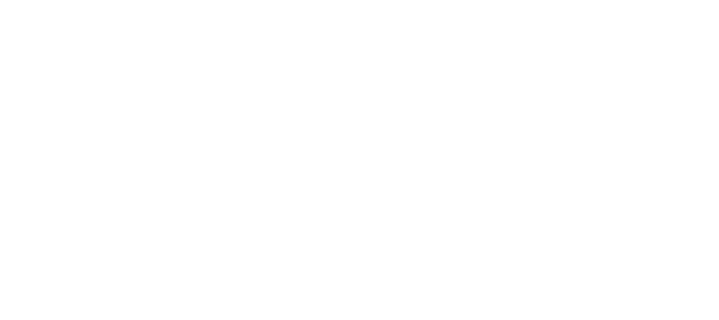 Krisis Conseil